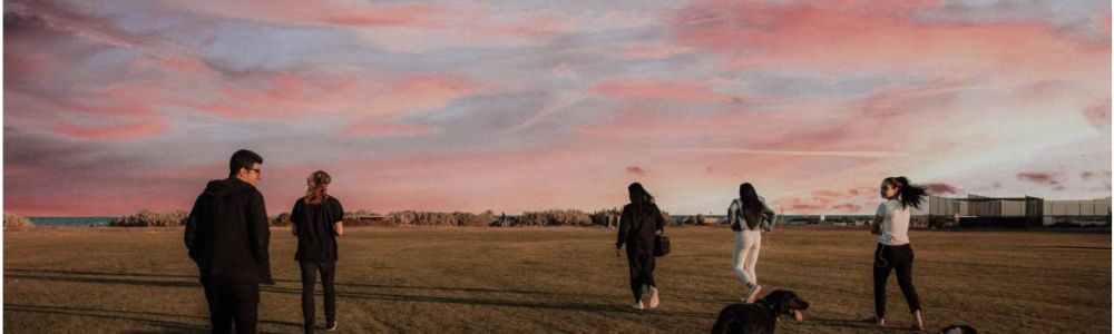 EDUCATION CANINE : SOCIABILISER VOTRE CHIEN