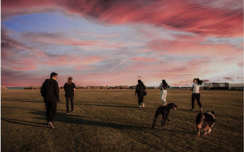 EDUCATION CANINE : SOCIABILISER VOTRE CHIEN